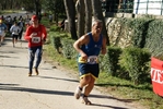 falc_763.jpg