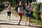 falc_774.jpg