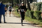 falc_779.jpg