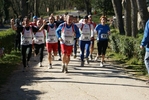 falc_788.jpg