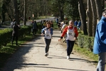 falc_807.jpg