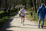 falc_832.jpg