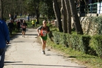 falc_841.jpg