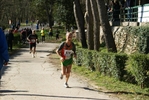 falc_842.jpg