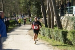 falc_843.jpg