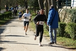 falc_847.jpg