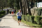 falc_936.jpg