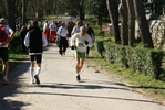 falc_937.jpg