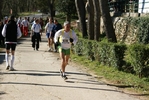 falc_938.jpg