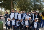 falc_954.jpg