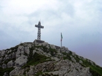 P1020734.jpg