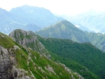 P1020875.jpg