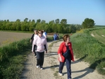 P1030469.jpg