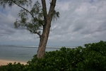 19_06_2011_Mauritius_Half_Marathon_foto_Bruno_Benatti_0095.jpg