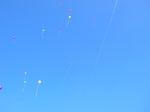 DSCN2113.jpg