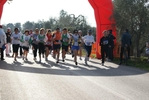 bals_021.jpg