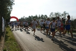 Filename=bals_206.jpg
Filesize=109KiB
Dimensions=1024x685
Date added=Feb 20, 2011 bals_206.jpg