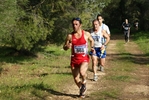 bals_540.jpg