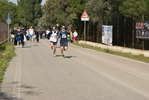 bals_664.jpg