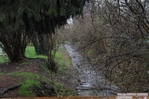 DSC_6840.jpg