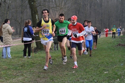 Clicca per vedere l'immagine alla massima grandezza