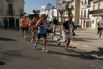 noci_498.jpg