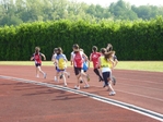 P1040161.jpg