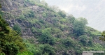 DSC_4986.jpg