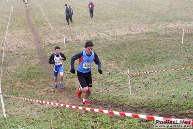 Clicca per vedere l'immagine alla massima grandezza