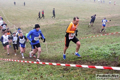 Clicca per vedere l'immagine alla massima grandezza