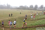 16_01_2011_Paderno_D_Cross_campio_regio_master_foto_Roberto_Mandelli_00667.jpg