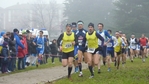 P1010661.jpg