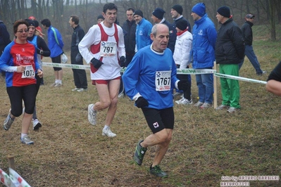Clicca per vedere l'immagine alla massima grandezza