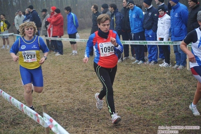 Clicca per vedere l'immagine alla massima grandezza