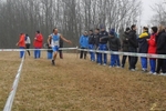 SAM_3401-crop.jpg