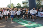 bef_113.jpg