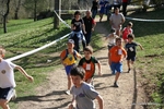 IMG_8518.jpg