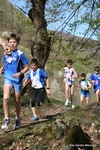 IMG_8645.jpg