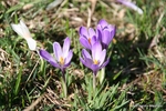 IMG_8703.jpg