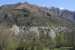 IMG_8763.jpg