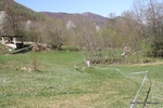 IMG_8764.jpg