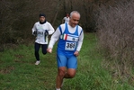 pap_430.jpg