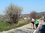 P1380839.jpg