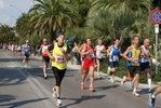 sb_781.jpg