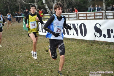 Clicca per vedere l'immagine alla massima grandezza