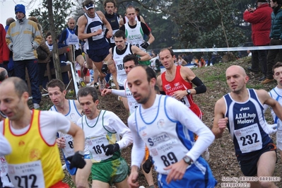 Clicca per vedere l'immagine alla massima grandezza
