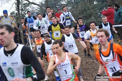 Clicca per vedere l'immagine alla massima grandezza