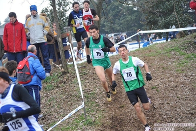 Clicca per vedere l'immagine alla massima grandezza