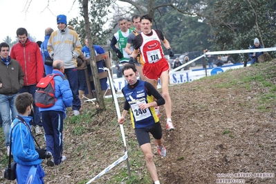 Clicca per vedere l'immagine alla massima grandezza