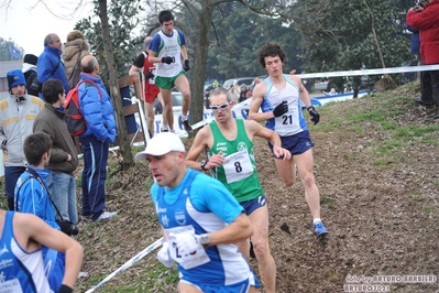 Clicca per vedere l'immagine alla massima grandezza